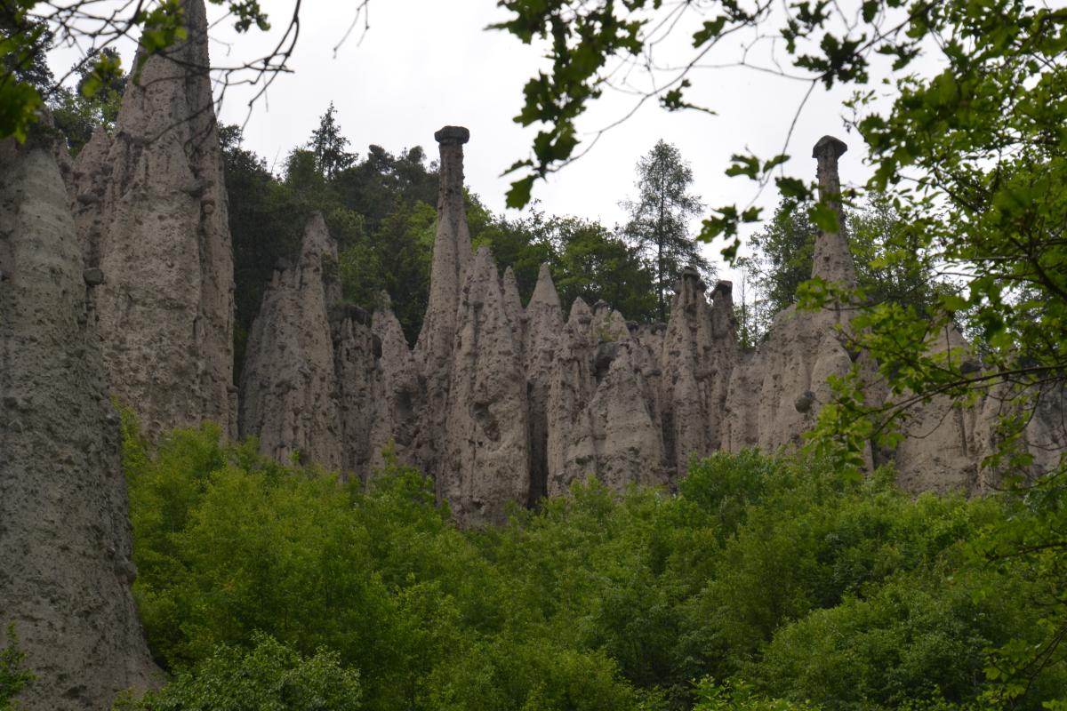 Rielingerhof 06.06.2019